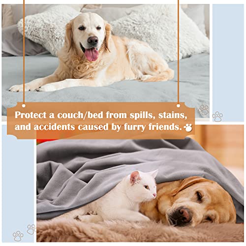 Kritter Planet Hundedecke Wasserdicht, Kuschelig Sex Decke, Urinbeständige Haustierdecke Waschbar Hundedecke für Sofa Bett Couch Autositz Möbel, XXL Decke 229 x 203 cm, Hellgrau/Dunkelgrau