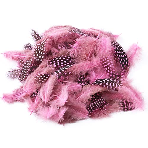 Guinea Fowl Feathers, 100 Pieces 2-3 Inch Colored Spotted Natural Pheasant Feathers for Craft Dream Catcher Jewelry Accessories