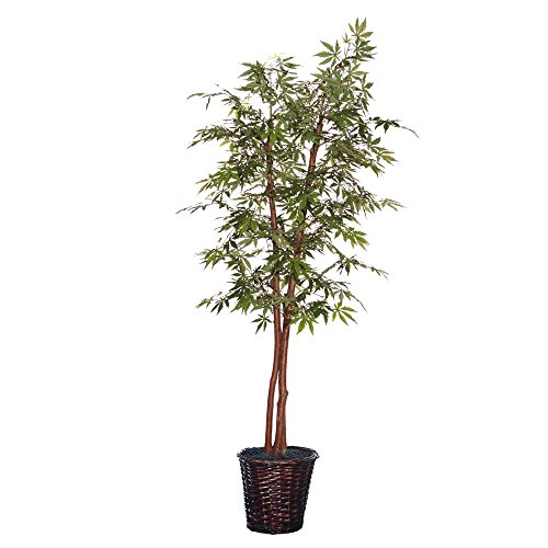 Vickerman TDX1860 Everyday Artificial Green Rattan Tree, 12 Foliage Options, 7 Foot