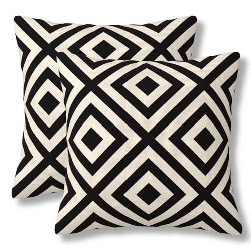 ZYNTIRAX Diagonal Stripes Pillow Cover