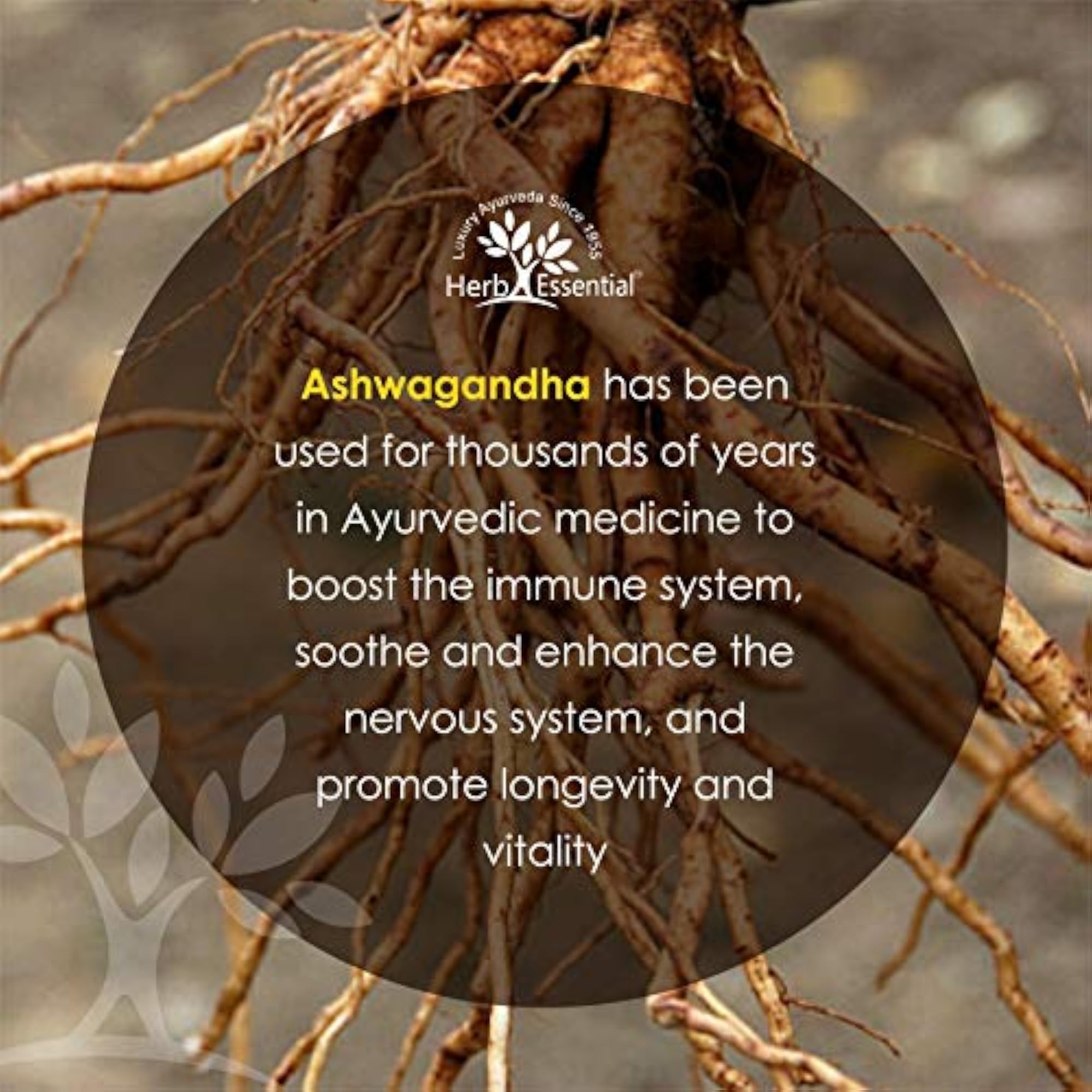 Pure Ashwagandha Powder, 50g