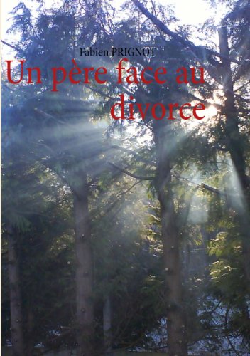 Un père face au divorce livre En ligne