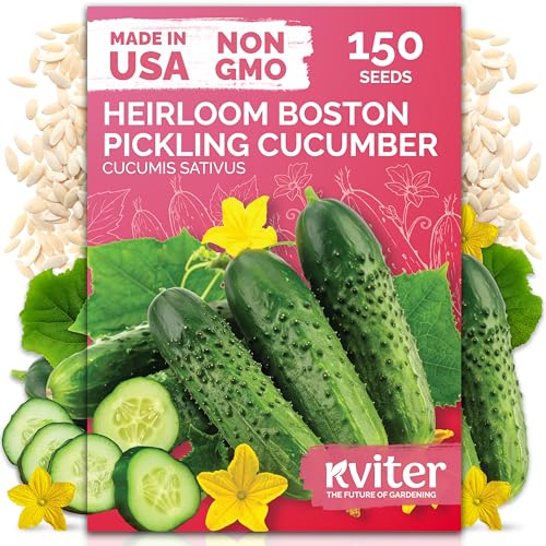 KVITER 150 Boston Pickling Cucumber Seeds (Cucumis sativus) - Boston Pickler Cucumber Organic, Perfect Cucumbers for Pickling and Slicing - Vegetable Seeds for Planting in Home Garden & Containers