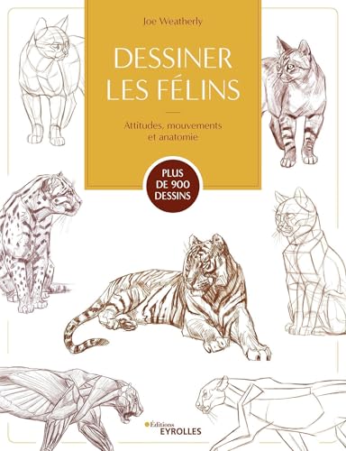Dessiner les félins