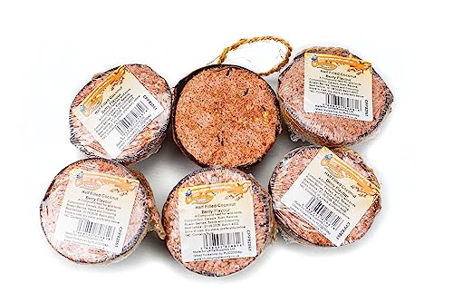 Chubby Coconut Halves Topped with Berry Bird Feeder Coconut Shells for Wild Birds Suet for Blackbirds Woodpeckers Starlings & Sparrows (6 Pack)