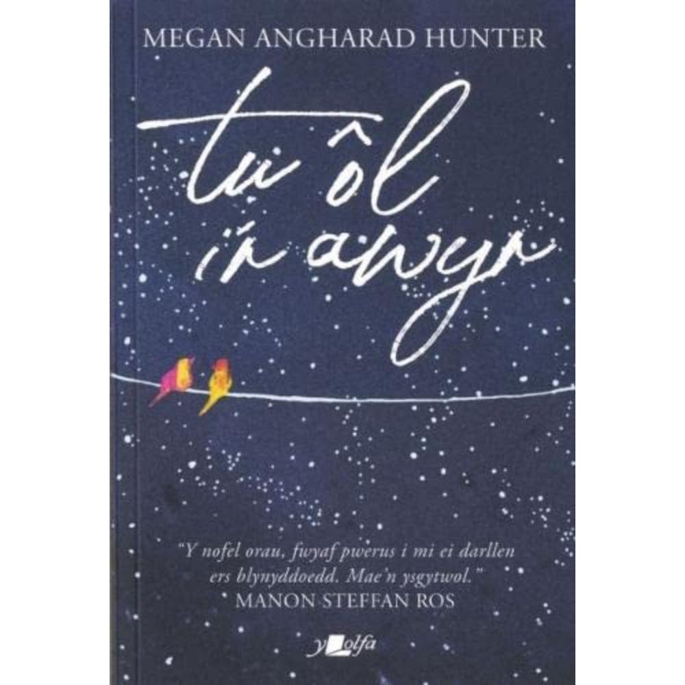 Tu Ôl i'r Awyr by Megan Angharad Hunter PAPERBACK (WELSH) 9781784619299