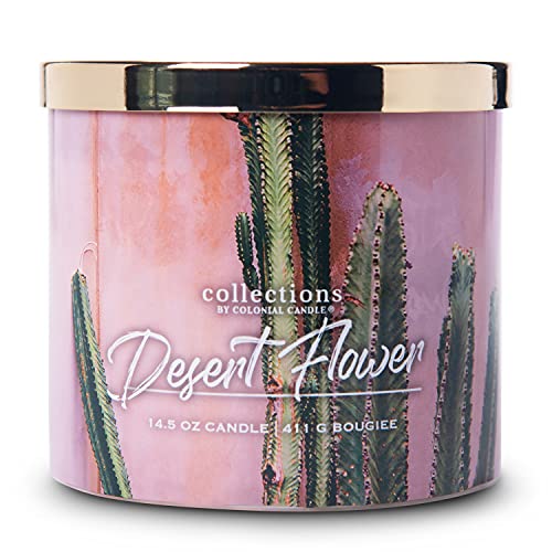 Colonial Candle Desert Flower Scented Jar Candle, Desert Collection, Ivory, 3 Wick, 14.5 Oz #TOP28
