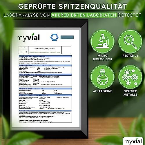 Bio Matcha Tee Pulver Premium 100g Grüner Tee in höchster Qualität aus Japan Kagoshima - Perfekt für Smoothie Matcha Latte Japanischer Grüntee vegan ohne Zusätze plastikfrei verpackt