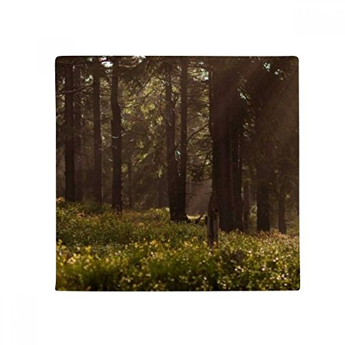 Cadeau tapis de sol multicolor paysage forestier déco unique - 2