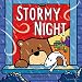 Stormy Night