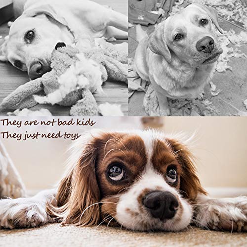 PLAYJOY Puppy Chew Toys/Small Dog Toys,Dog Toys for Small Medium Dogs, Interactive for Boredom, Squeaky Plush Dog Toys, Puppy Toys