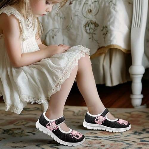 Girls Axolotl Dress Shoes Mary Jane Shoes Princess Ballet Flats Lightweight Slip On School Shoes US 11-2.54