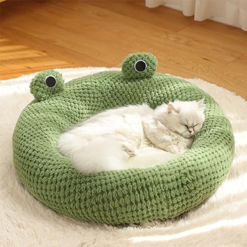 Accessoires de couchage doux pour chatons souffrant du froid