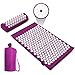 Esterilla Acupresion Kit de Masaje con Almohada, Estera de Yoga, Bolsa para Acupuntura Alivia el Dolor de Espalda y Cuello, Relaja los Músculos y Reduce el Insomnio