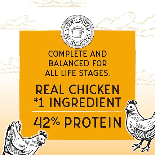 Image of Blackwood Bounty Dry Cat Food, Chicken & Turkey Recipe for All Life Stages, 10 Pound Bag, High Protein, Grain Free