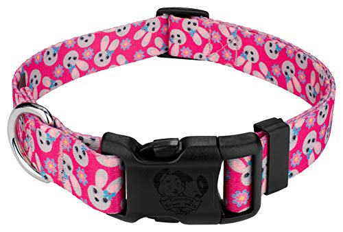 Country Brook Petz - Deluxe Spring Bunnies Dog Collar Limited Edition - Made in The U.S.A. - Spring Collection Featuring Springtime Designs (1 Inch, Large)