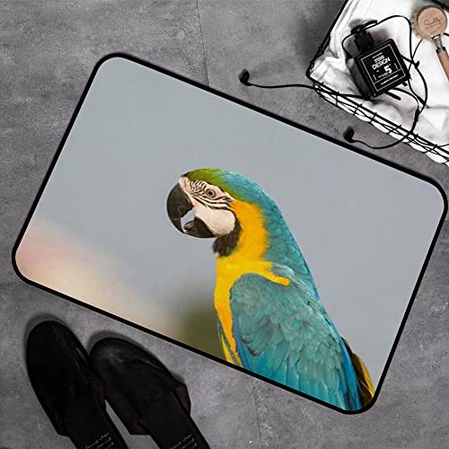 【Conferma la dimensione richiesta】 prima dell'acquisto per assicurarti che le dimensioni del tappetino da bagno corrispondano ai tuoi mobili o articoli per la casa. In caso di domande o problemi dopo l'acquisto, contattaci e saremo lieti di aiutarti entro 24 ore. Grazie per la vostra comprensione e supporto!