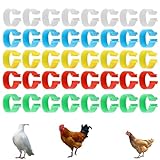ARTGUTS 40 Stück Hühnchen Identifikation Beine Ringe, Mehrfarbige Hähnchen Identifikation Beinbänder, Hähnchen Beinringe, Plastikgeflügel Beinringe, für Gamefowl Truthahn Ente Gans Guinea