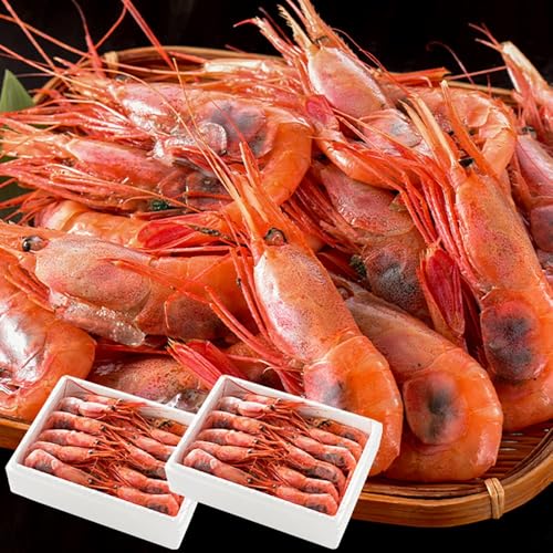 港ダイニングしおそう 甘エビ 子持ち 刺身用 越前産 えび お祝い 04.特大サイズ 1kg 500g×2箱 約60尾入り ギフト
