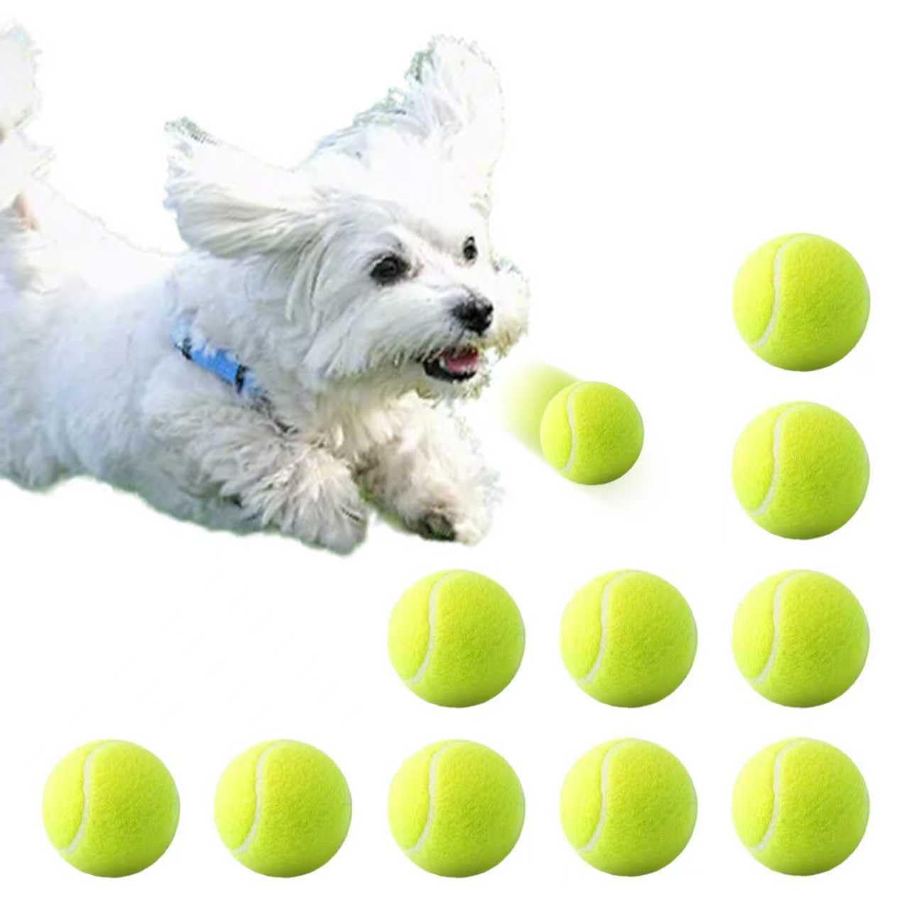 RERBIO 10 Pack 2-inch Small Dog Tennis Ball Dogs Interactive Toys,Tennis Balls for Small Dogs, Only Fits 2 inch Dog Ball Launchers, Not Applicable to Balls Thrower