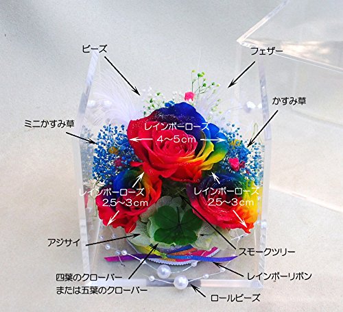 レインボーカラー プリザーブドフラワー アレンジメント 71-DdYwAwtL._AC_UF894,