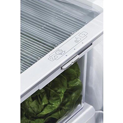 Fisher Paykel Rf201Adusx5 36 Inch Counter Depth French Door Refrigerator With 20.1 Cu Ft. Total Capacity In Stainless Steel #TOP5