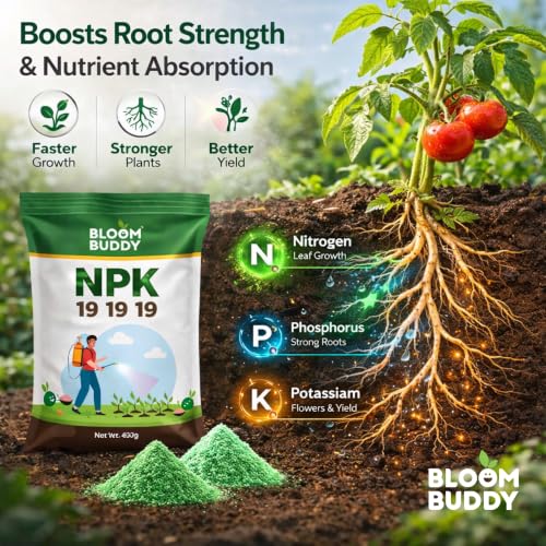 Image of BloomBuddy NPK 19:19:19 Fertilizer for Plants | Water Soluble All-Purpose Plant Food for Growth, Flowering & Fruiting | Indoor & Garden Plants | 400g Each (Pack of 2) | Total 800g