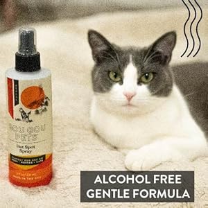 Hot-Spot-Spray-Holistic-Natural-Derived-Herbal-for-Dogs-Cats-and-Horses-Fast-Acting-to-Soothe-Hot-Spots-Relieve-Irritated-Skin-Rash-and-Seasonal-Allergies-Made-in-USA-8-oz - Cucciolini Doodles   Hot-Spot-Spray-Holistic-Natural-Derived-Herbal-for-Dogs-Cats-and-Horses-Fast-Acting-to-Soothe-Hot-Spots-Relieve-Irritated-Skin-Rash-and-Seasonal-Allergies-Made-in-USA-8-oz
