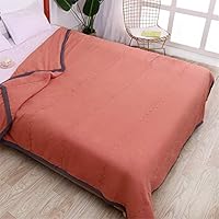 Fansu Bedsprei, eenpersoons of tweepersoons quilt, omkeerbare super kingsize beddenhoes, gewatteerde sofadeken, decoratieve sprei, microvezel dekbed laken (dinosaurus, 200 x 220 cm