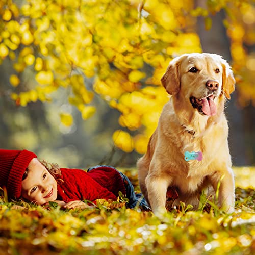 FineGood 21 Stück Hundemarken-Harzformen, Haustiermarken-Silikonform für Harz mit 20 Schlüsselanhängern, DIY Harzgussformen für die Herstellung von Katzen-Hundemarken, Anhängern