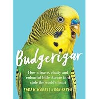 Budgerigar