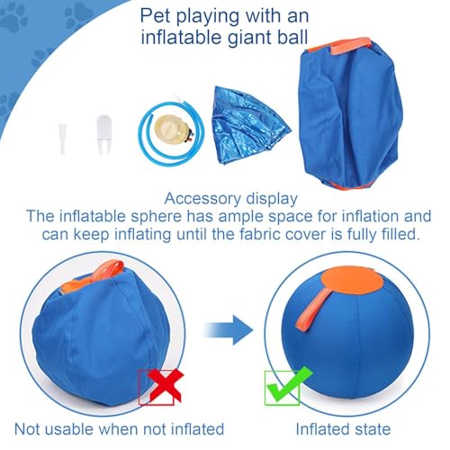 Balle de jeu canine gonflable avec roues d'exercice extérieur - 5