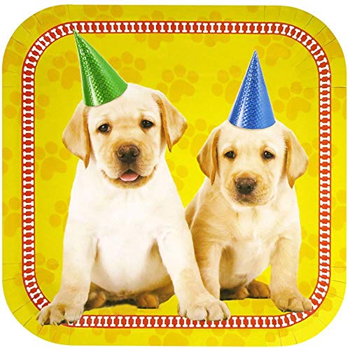 KKONES Puppy Supplies Packs (113+ Pieces for 16 Guests!), Puppy Party Supplies, Dog Themed Birthdays, Blue Orchards, Puppy Birthday Party