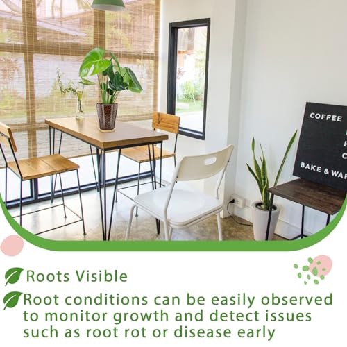 Baderke LE-BADERKE-883 Glass Orchid Pots With Holes And Bamboo Tray Glass Pot Water Level Control Semi Hydroponic Transparent Root Transparent Indoor Orchid Planter thumb #6