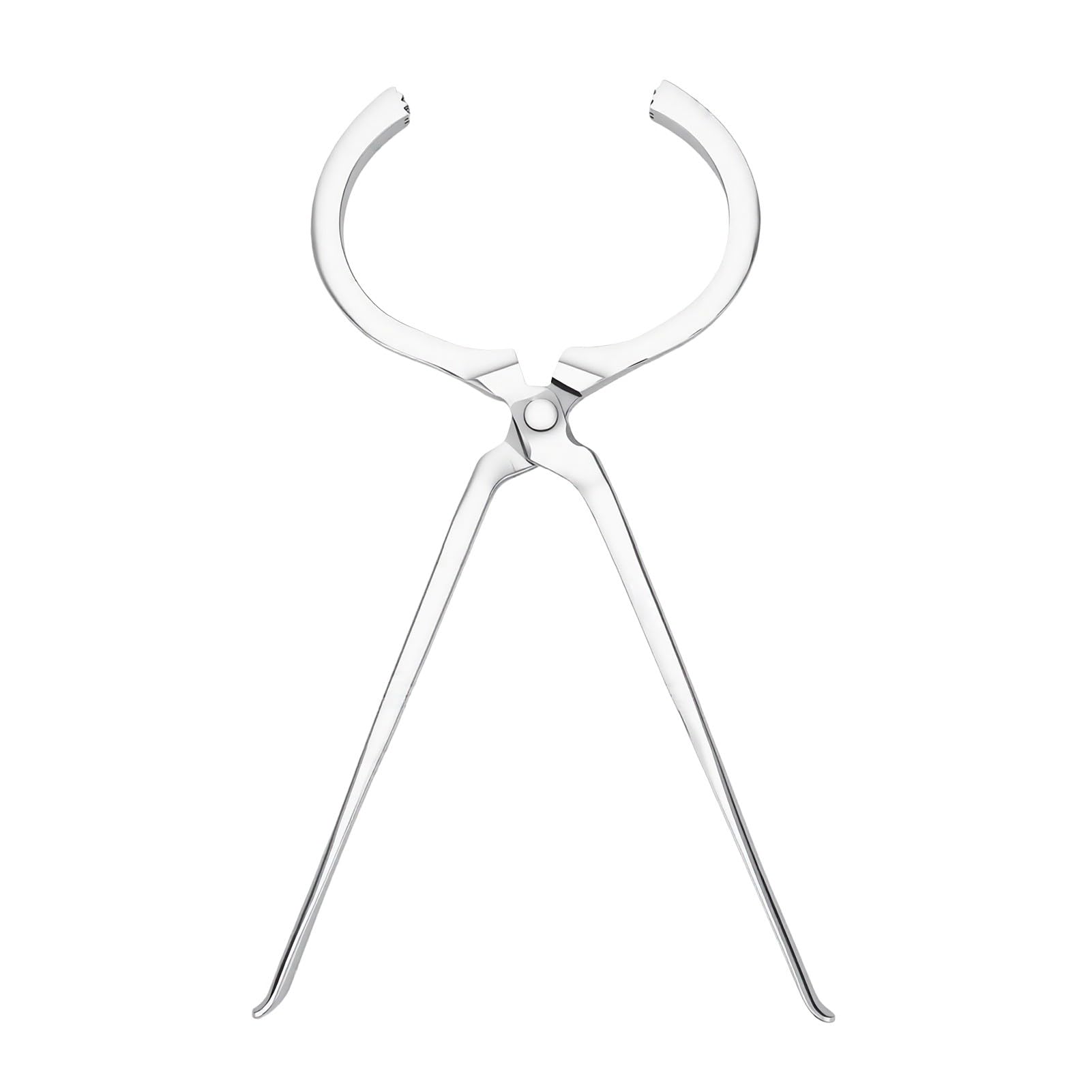 Brrnoo Pinza per Zoccoli Cavalli, Tester Zoppia Equino per Rilevamento | Lunghezza 19,1 Pollici, Acciaio Temprato Monopezzo, Ganasce Piatte Anti-graffio, Modellatura Ausiliaria dello Zoccolo,
