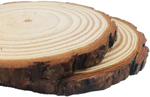 Miniatura 5 de Rebanadas de madera, 10 unidades