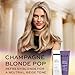 John Frieda Salon Blonde Champagne Tone Perfecting Treatment with Protein-Peptide Complex, Hair Toner, Toner for Blonde Hair 4 fl oz