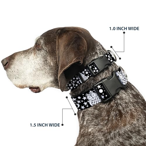 Collar para perro Buckle-Down de búhos con broche de presión 13-18 pulgadas 3