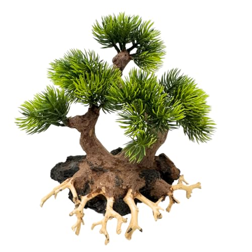 Bonsai Driftwood Aquarium Trees on Rock (8