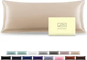 Silk Body Pillowcase Mulberry Silk Pillow Cases with Zipper Soft Breathable Smooth Cooling 20x54 inches Pillowcase for Sleep (Champagne,20"X 54",1Pcs)