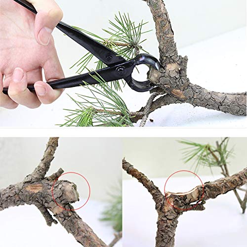 Cortador de rama de perilla cóncava de borde redondo de 210 mm, herramientas para bonsái de jardín, tijeras
