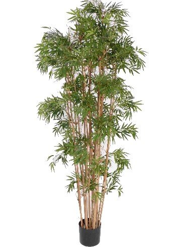 Amazon.de: Bambus Kunstbaum 180cm mit echten Bambusstangen und 2400 Bltter  mit UV-Schutz - Knstlicher Bambusbaum Bambusstrauch