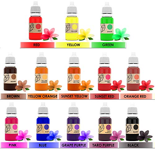 Organic Bath Bomb Coloring for Soap Making Supplies, Skin Safe Coloring Slime Ideal for Crafting Mold and Container, Includes 13 Colors, Molds and Gloves with e-Bonus; Great DIY Gift Idea