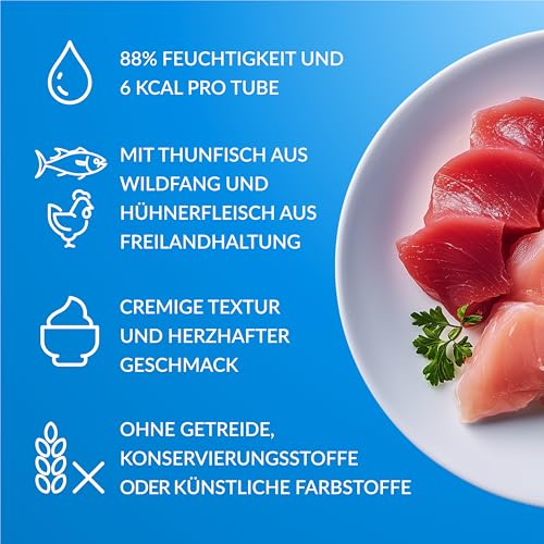 INABA Churu Katzen Leckerlies Einzelzutat mit Huhn, Getreidefrei, Zuckerfrei, Kalorienarm, 100% natürliches Fleisch, Creamy Leckerli Katze, Keine Nebenerzeugnisse Premium Cat Treats 20 x 14g