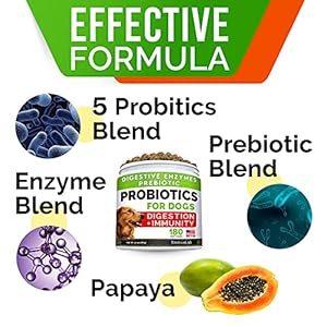 StrellaLab Dog Probiotics Treats for Picky Eaters (180ct) – Digestive Enzymes + Prebiotics – Chewable Fiber Supplement – Allergy, Diarrhea, Gas, Constipation, Upset Stomach Relief – Digestion&Immunity