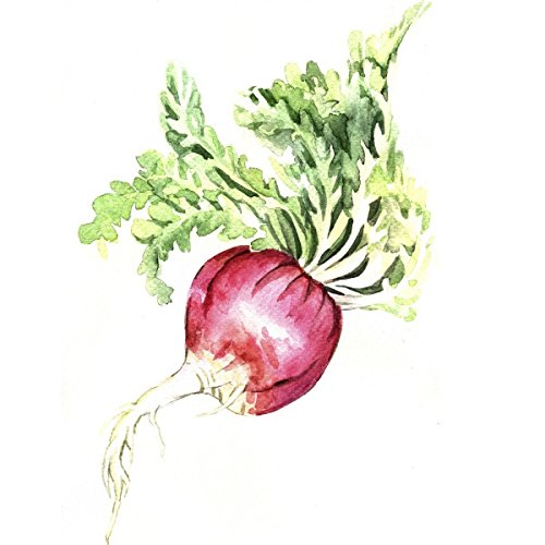 Maca Peruanischer Ginseng - 50 Samen