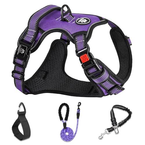 NESTROAD No-Pull Vest Harness & Leash Set (Medium, Purple)