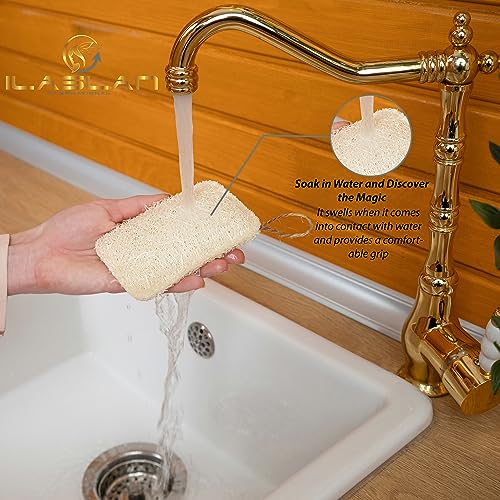 Image of Natural Loofah Dish Sponge Scrubber | Double-Sided | Eco-Friendly, Natural,%100 Organic, Biodegradable and Reusable Dish Loofah Kitchen Sponges | 3 Count (1 Pack) (12X8 CM)