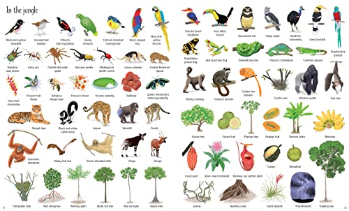 1000 Things in Nature (1000 Pictures) - Image 3