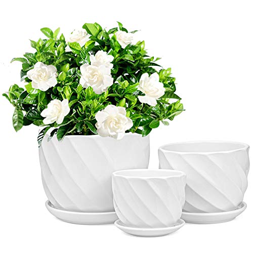 Lawei 3er Set Blumentopf Keramik Pflanztöpfe Moderne Sukkulenten Töpfe Rund mit Untersetzer für Sukkulenten Kaktus Indoor Outdoor Garten Home Cover